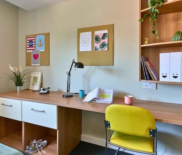 Classic Studio - Photo 6