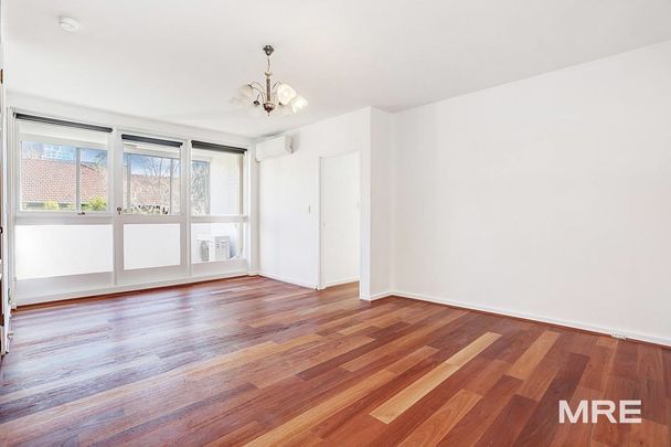 1B/381 Toorak Road, South Yarra - Photo 1