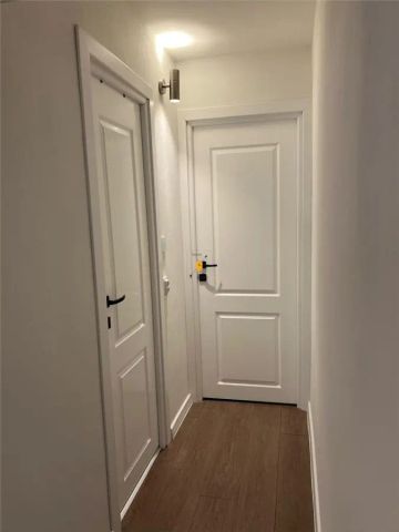 Inchiriere apartament 2 camere zona Vest - Fotografie 5