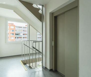 Pronájem bytu 3+1 76 m² - Photo 1