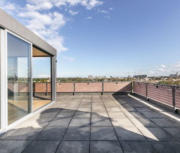 7 / 36 Hutchinson Street - Photo 3