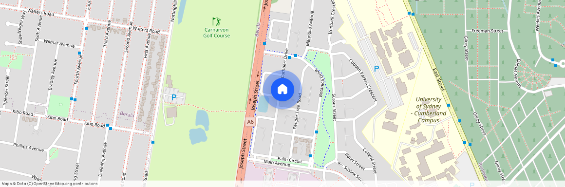 32 Betty Cuthbert Drive Lidcombe, NSW 2141