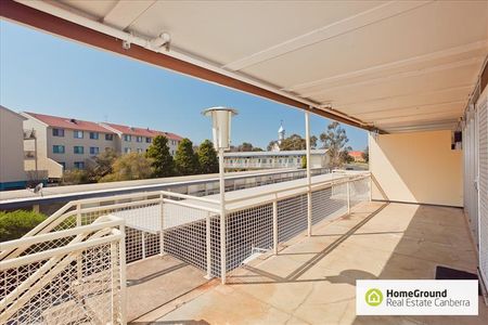 17/47 McMillian Crs, Griffith ACT 2603 - Apartment For Rent | Domain - Photo 4