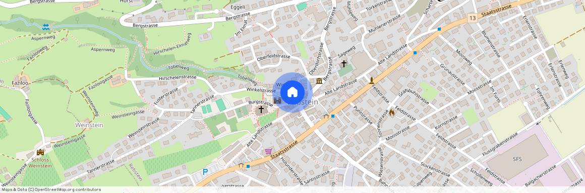 9445, Rebstein, Winzerstrasse, 1