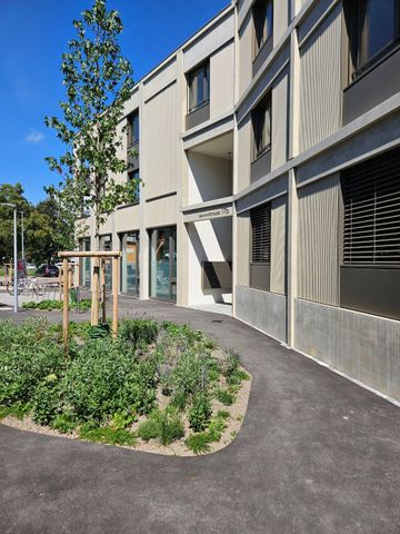 First occupancy - Attic apartment in the middle of Willisau - Photo 4