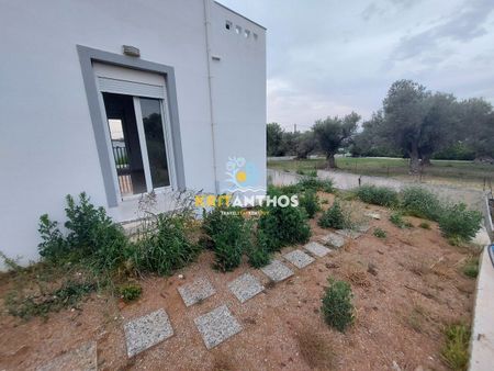 Μονοκατοικία για ενοικίαση Άδελε (Αρκάδι) - Photo 2