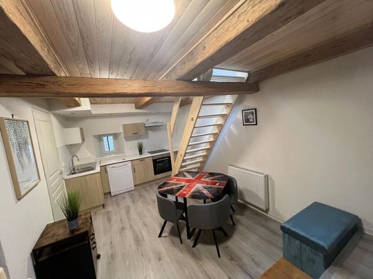 Very nice renovated duplex located between the castle and the botanical garden - Photo 1