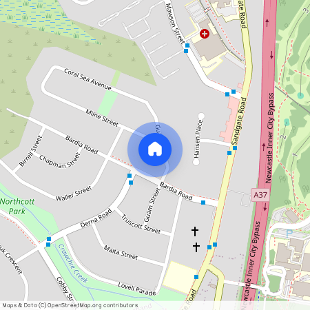 12 Guam Street, Shortland, NSW 2307