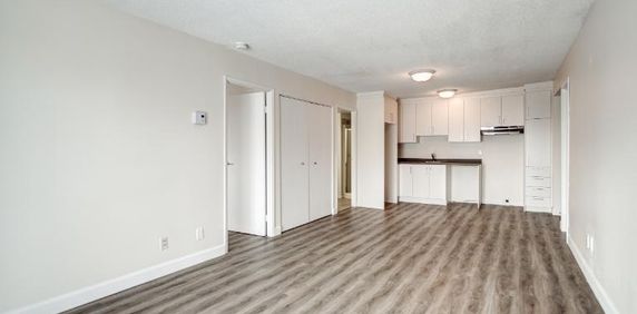 Appartement 3 ½ à louer Sainte-Foy / Sillery février 2026 - Photo 2