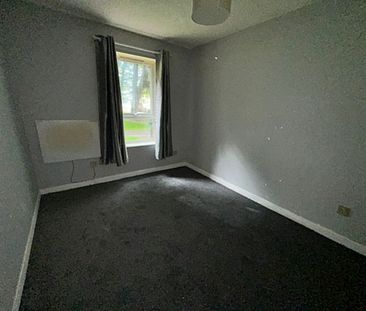 1 Bedroom Property To Rent - Photo 4