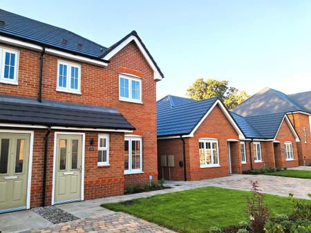 2 bedroom semi-detached house to rent - Photo 4