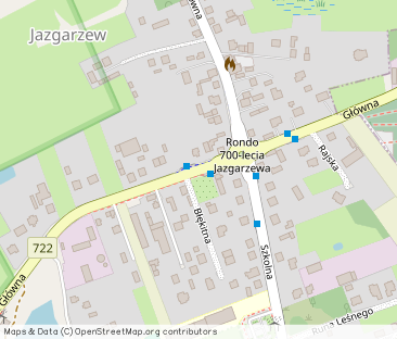 wynajmę mieszkanie w Piasecznie (100 m) - Photo 1