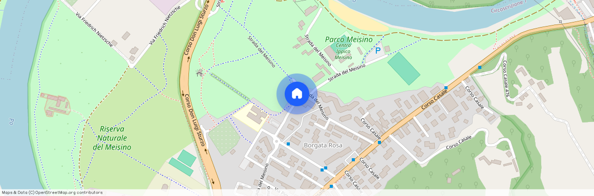 Torino, S.da del Meisino - Rosa