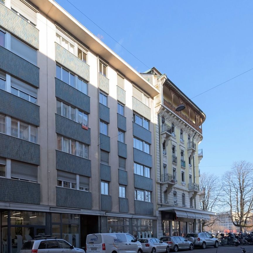 Plaine de Plainpalais - Université - Photo 2