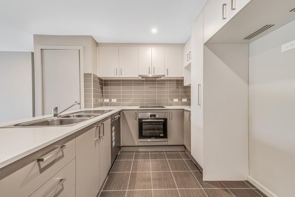 4/16 Berrigan Crescent, O'Connor ACT 2602 - Apartment For Rent | Domain - Photo 1