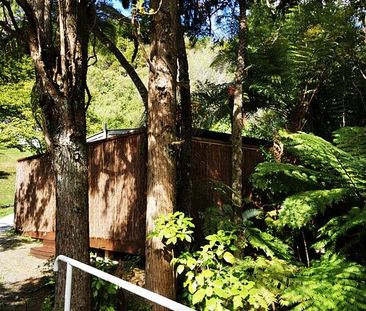 Pinehaven Forest Cottage - Photo 4