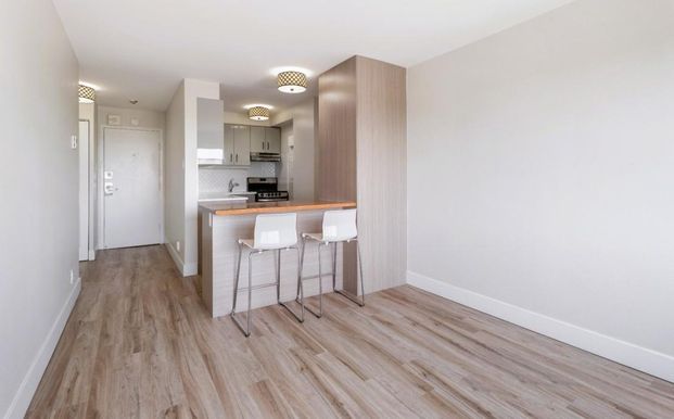 Appartement à louer - Montréal (Le Plateau-Mont-Royal) (Le Plateau-Mont-Royal) - Photo 1