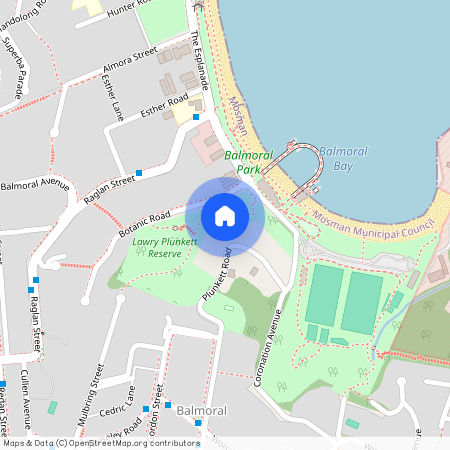 24 PLUNKETT ROAD, NSW 2088, Mosman