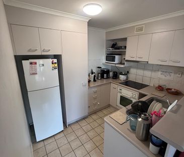 Spring Hill - Photo 4