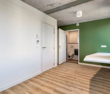 Sint-Amandsplein 3, kamer - Foto 5