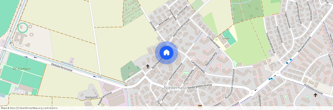 8155, Niederhasli, Nöschikonerstrasse, 14