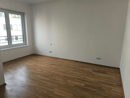 Zentrum-Südost! Wunderschöne 5 Zi. Whg., Parkett, 2 Bäder, Gäste WC, AK, Dachterrasse!!! - Photo 4
