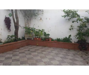 San Fernando - Photo 6