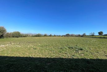 543 Diseminado Poligono 1, Pollença, Balearic Islands 07460