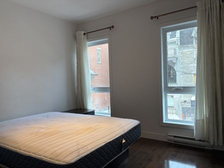 Appartement à louer - Montréal (Ville-Marie) (Centre) Appartement à louer - Montréal (Ville-Marie) (Centre) - Photo 2