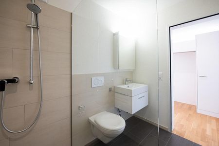 2.5 Zimmer-Wohnung in Tagelswangen - Foto 2