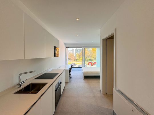 MONOLOCALE ARREDATO VICINO CAMPUS USI/SUPSI - Foto 1