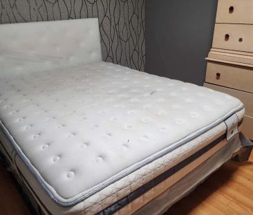 81 Brimstone Crescent #Bsmt - Photo 3