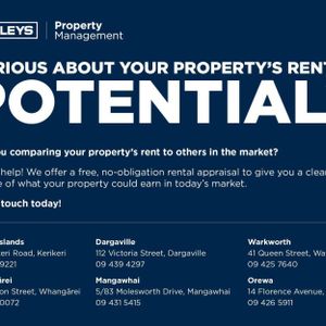 Fully renovated units - Photo 2