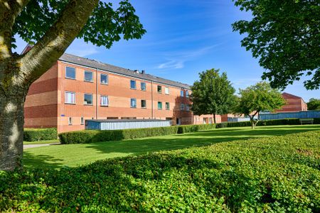 Havrevej, 22, 2. 491, Thisted, 7700 - Foto 3