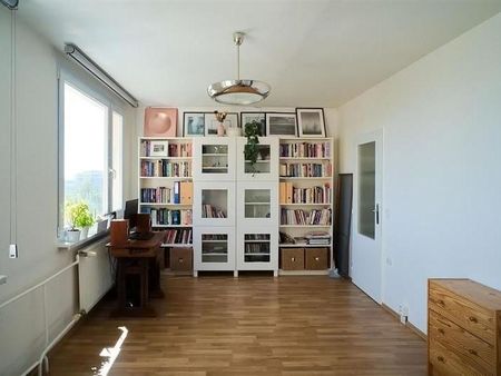 Pronájem bytu 1+kk 35 m2 - Fotografie 4