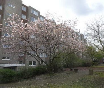 1-Zimmer-Wohnung in Hamburg Borgfelde - Photo 3