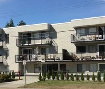 Spacious 1 bedroom 1 bathroom Downtown Maple Ridge - Photo 1