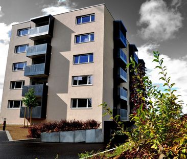 Bel appartement de 3,5 pièces en campagne - Photo 5