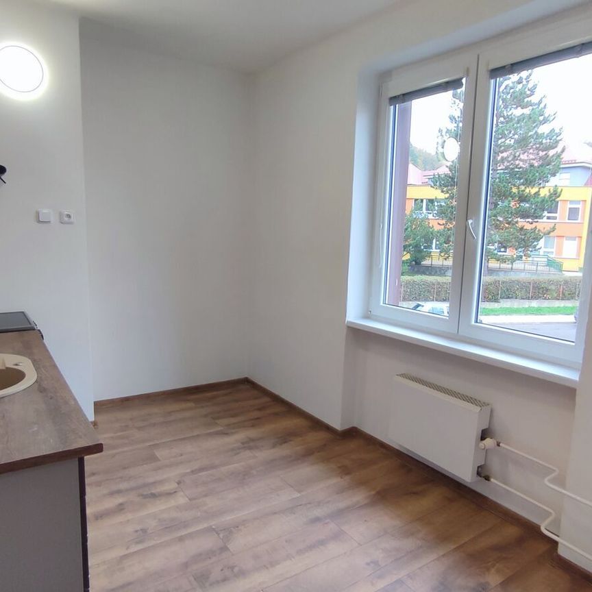 Pronájem bytu 3+1 v osobním vlastnictví 66 m², Ústí nad Labem - Fotografie 1