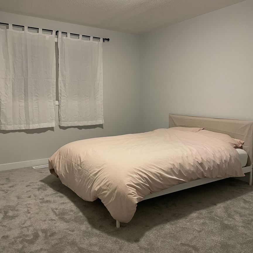 For Lease - 633 Allied Mews, Stittsville - Munster - Richmond, Ontario - Photo 1