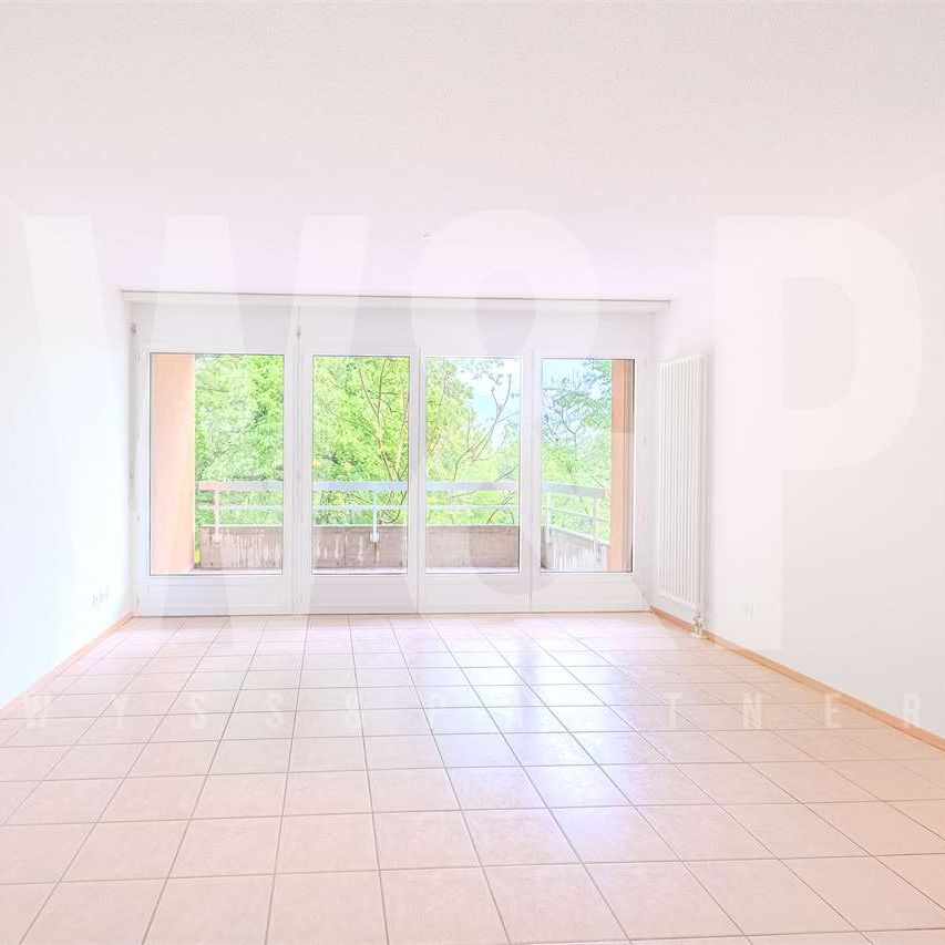3.5 locali luminoso con terrazza e posteggio - fino a 3 mensilità grat - Photo 1