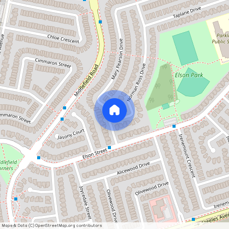 161 Mary Pearson Drive #Bsmt, Markham, Middlefield