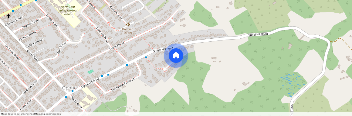 7, Northfield Avenue, Opoho, Dunedin