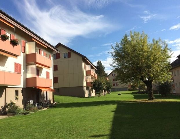 Attic apartment in a green environment - Photo 1