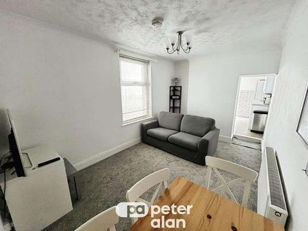 Watkin Street, Swansea, SA1 - Photo 3