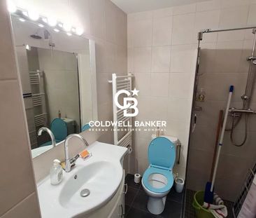 Location Appartement 1 pièce 23m² GAILLARD 74240 - Photo 3