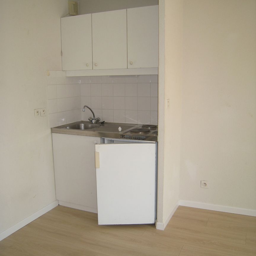 Location Appartement 1 pièce 23m² OLIVET 45160 - Photo 1