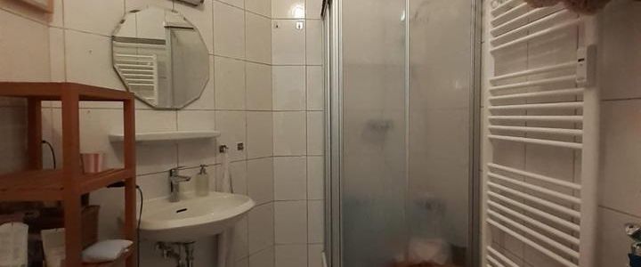 Altbauwohnung am Stadtpark mit Echtholzdielenböden! - Photo 1