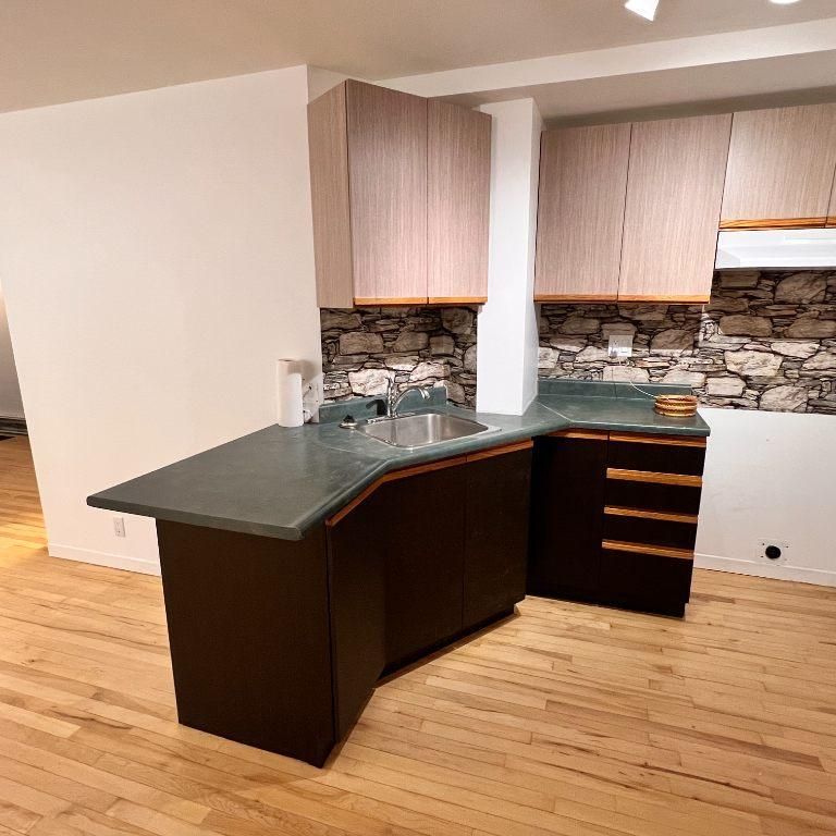 logement 4 1/2 villeray - Photo 1