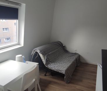 Location Appartement 1 pièce 12m² - Photo 6